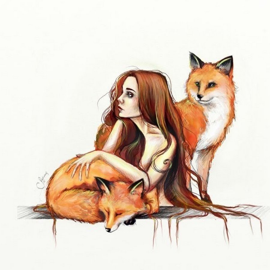 Китайские лисы