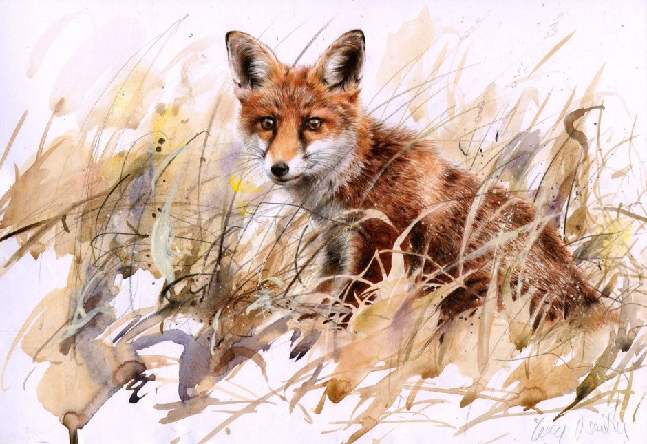 Furry Гривистый волк