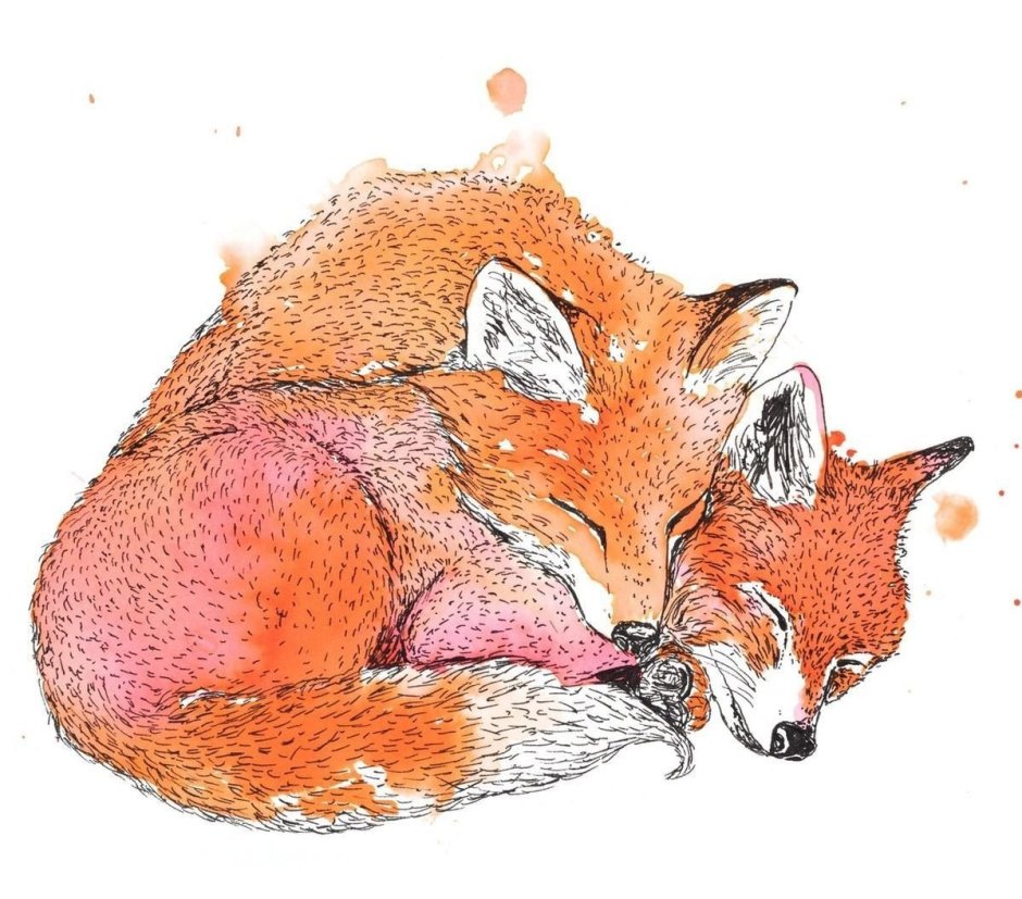 Иллюстрации с лисами