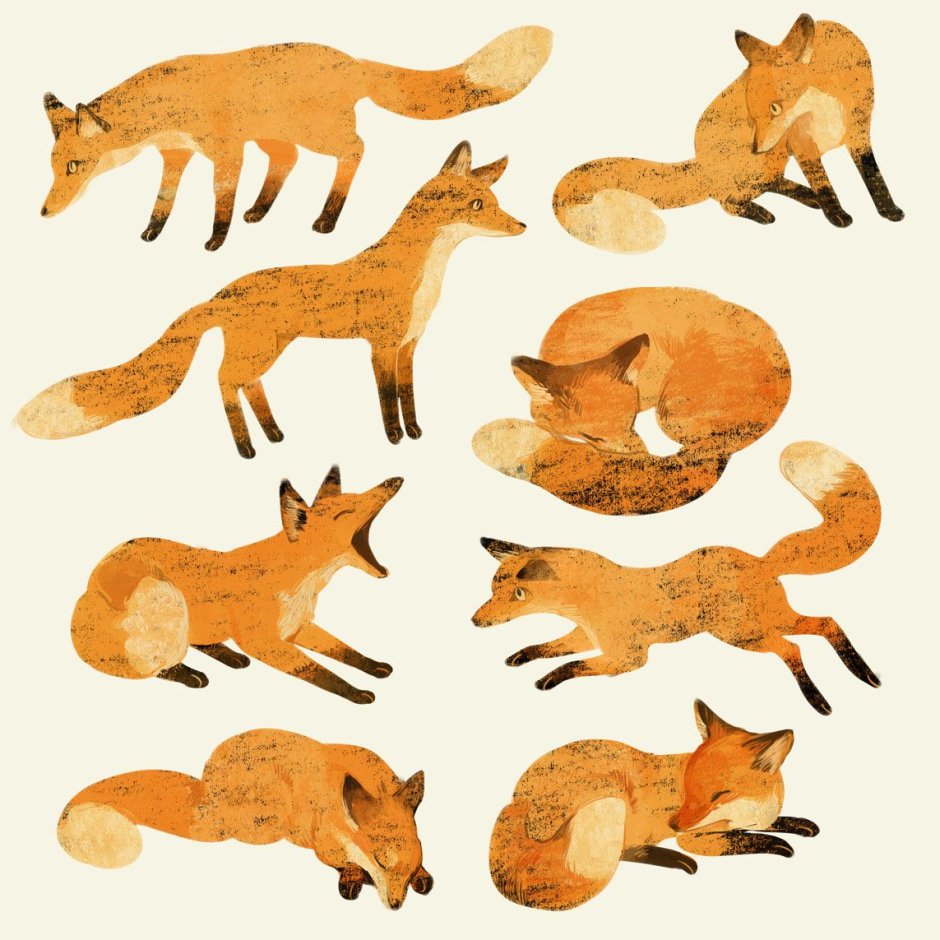 Lucy Newton акварель