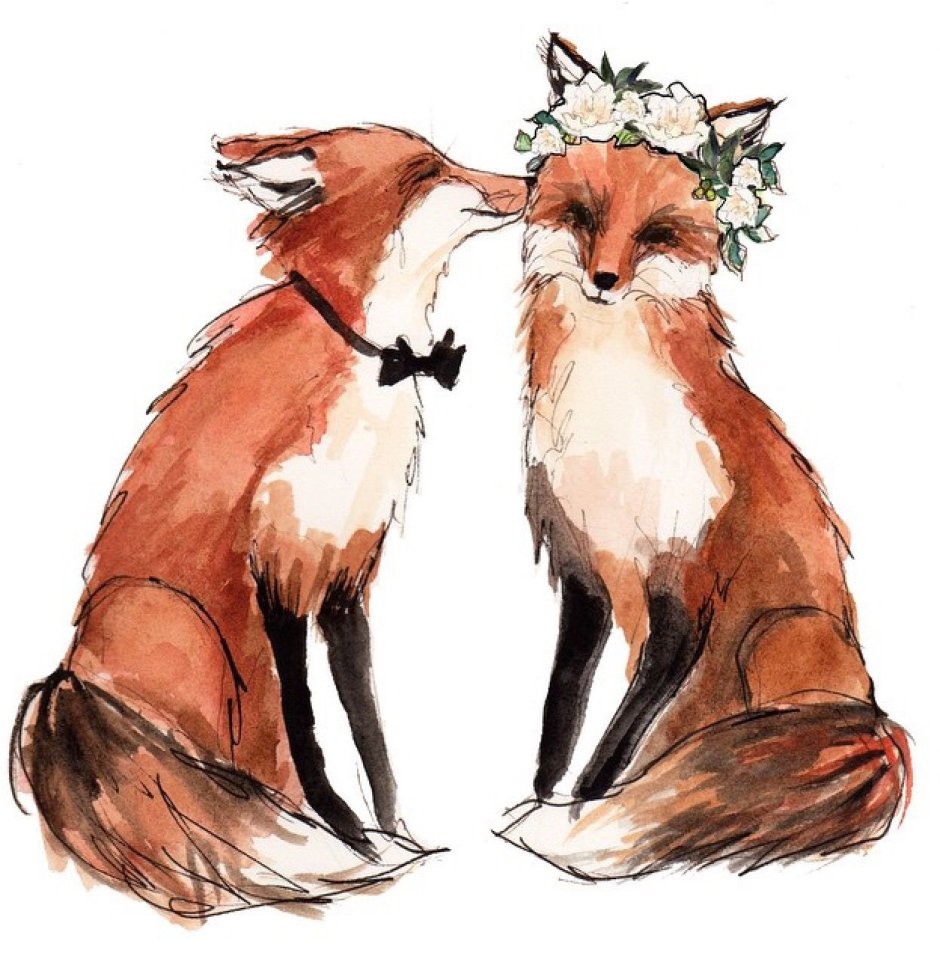 Влюбленные лисички