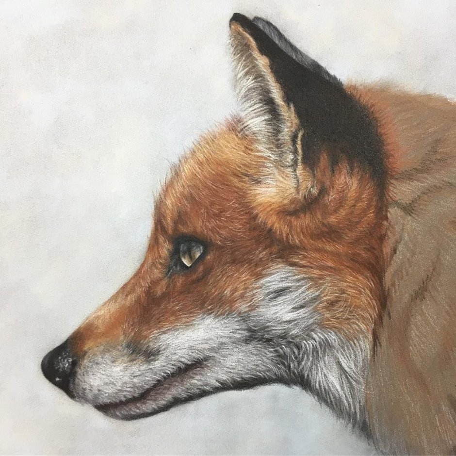 Лисичка для детей в разных позах