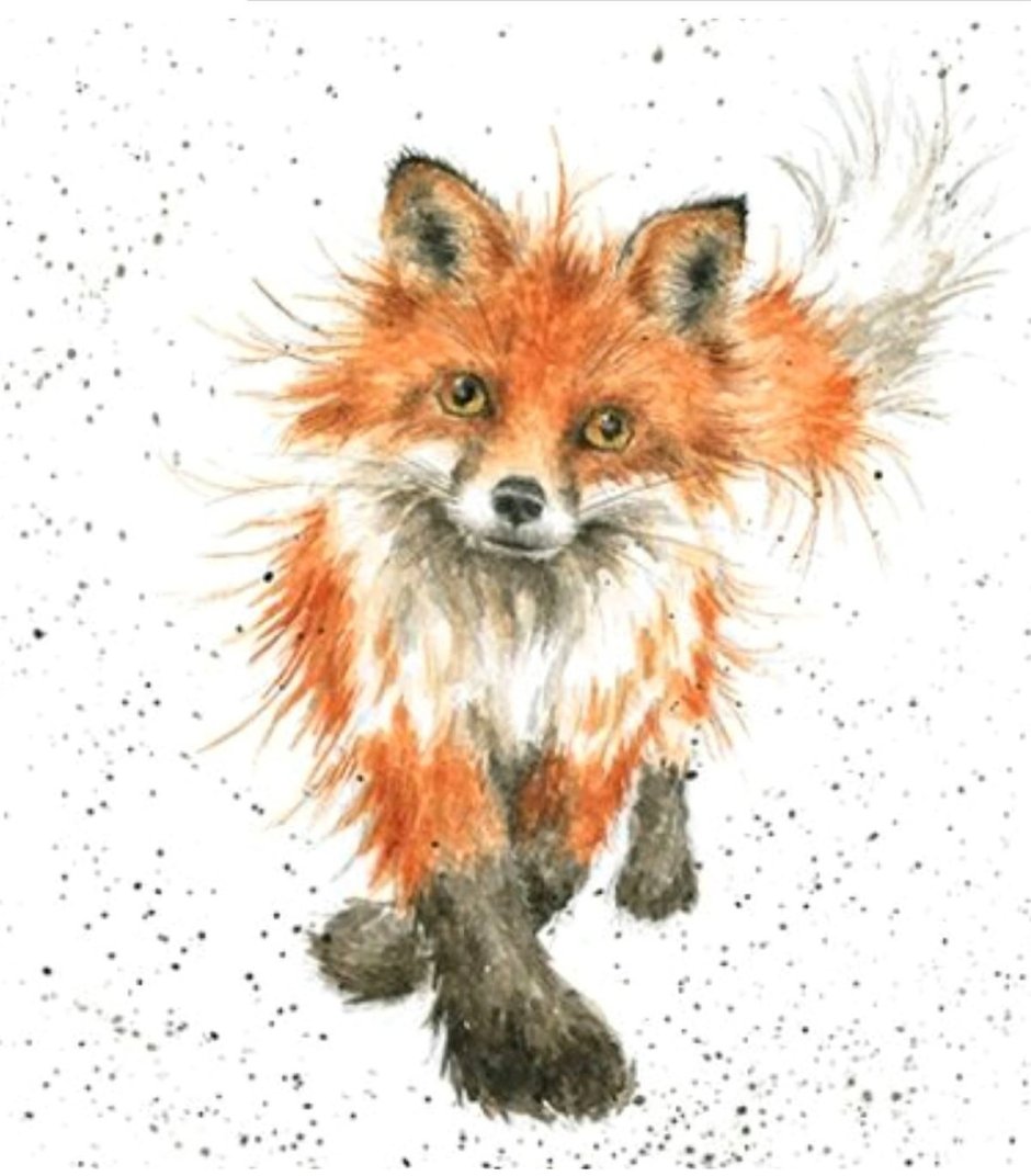 Лиса в разных позах