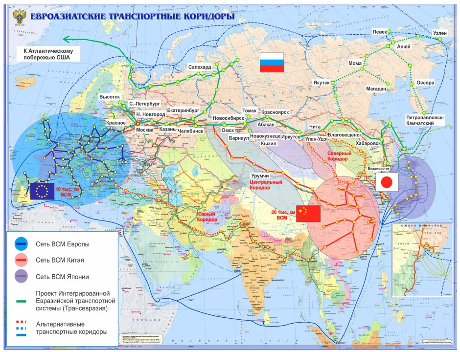 Даурский паук волк