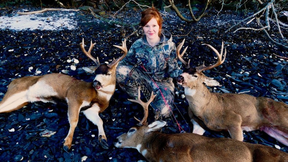 Sitka Deer