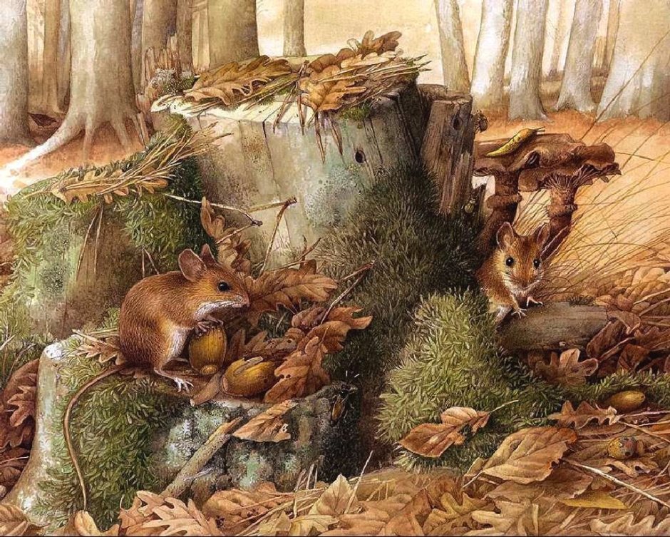 Художник Марджолин Бастин, Голландия