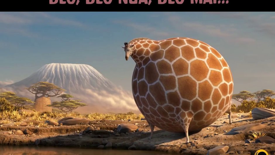 Armadillo Pet