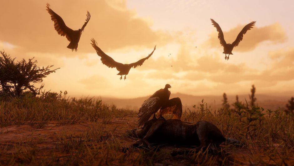 Red Dead Redemption 2 животные