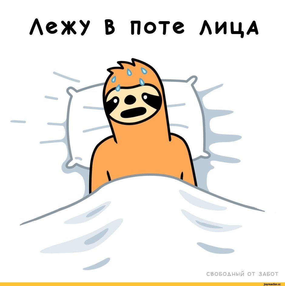Ленивец подстригся