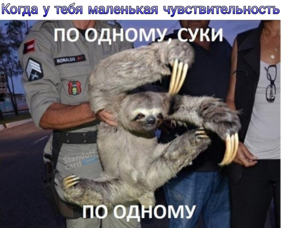 По одному суки по одному Ленивец
