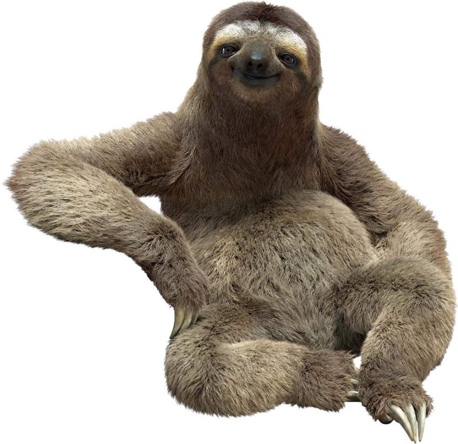 Papo Ленивец