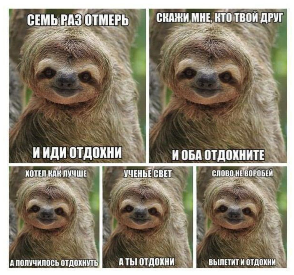 Улыбающиеся животные