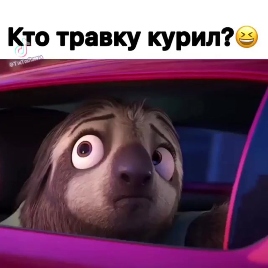 Ленивец из Зверополиса видео