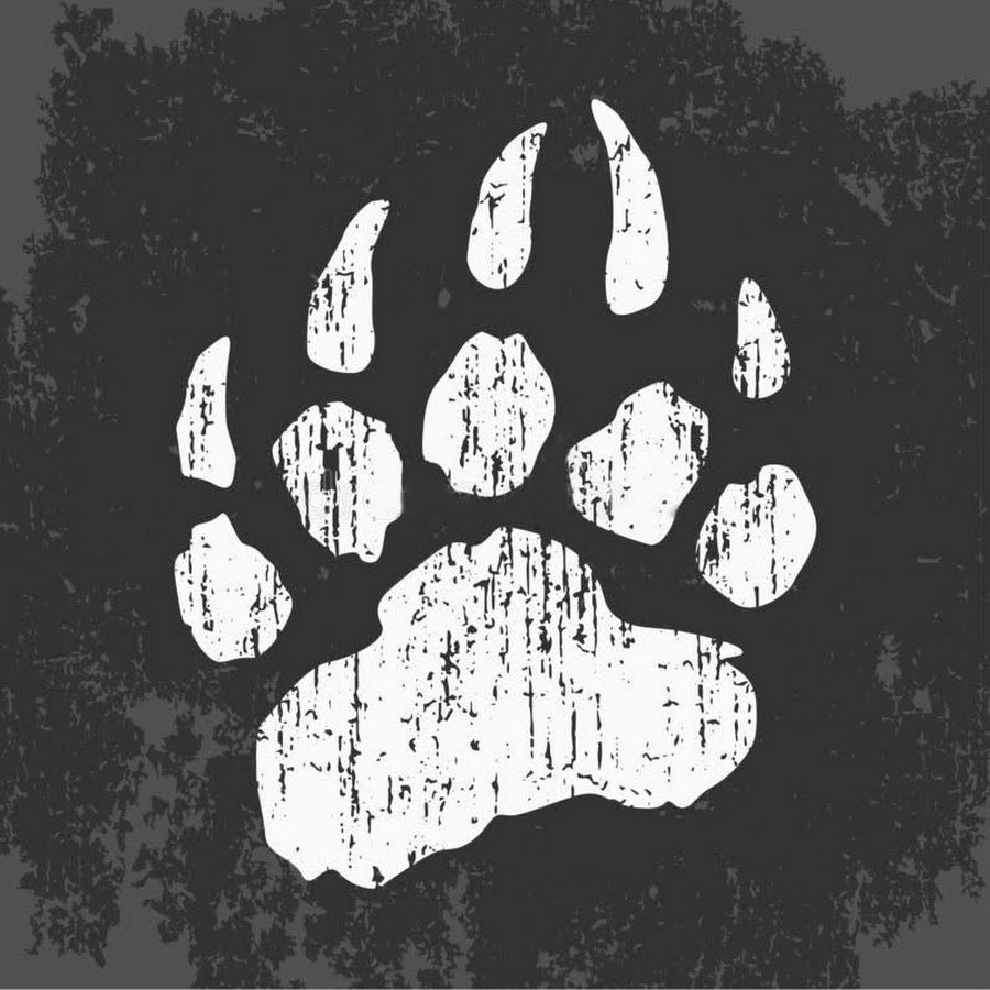 Оттиск лапы медведя