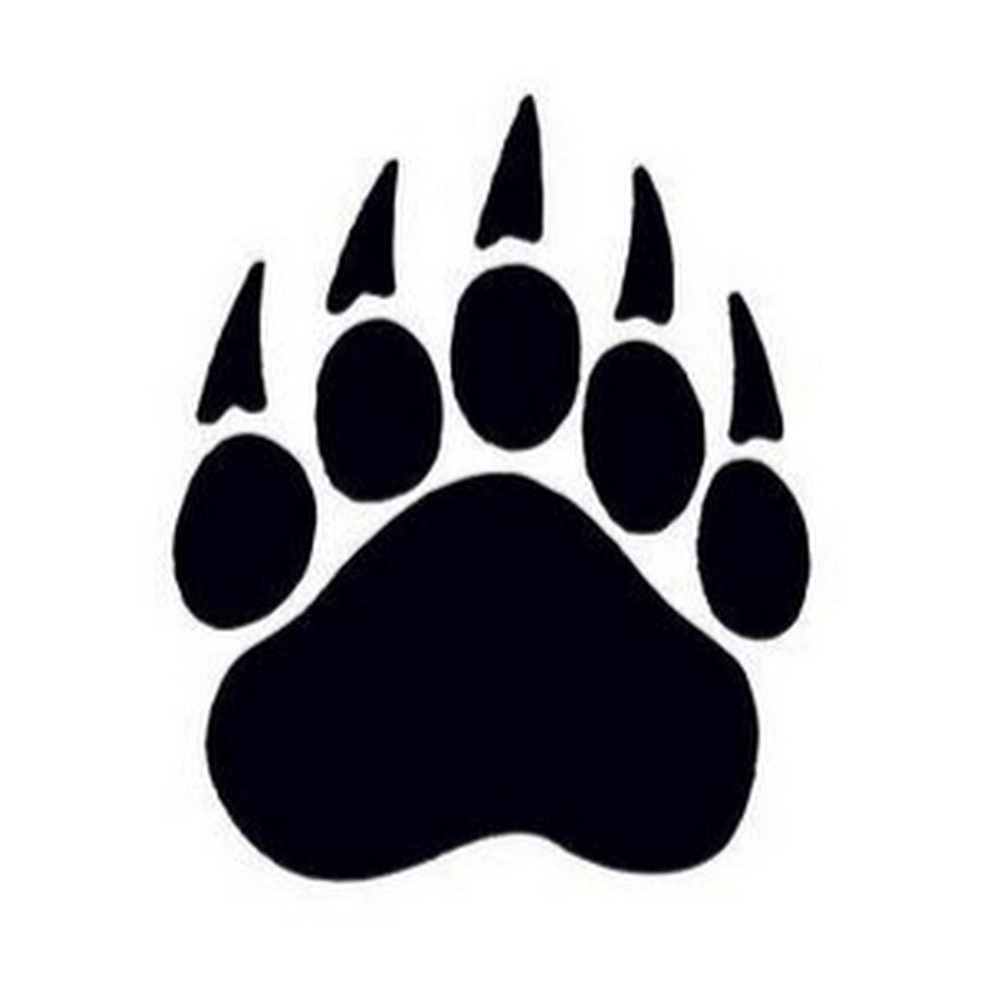 След лапы медведя