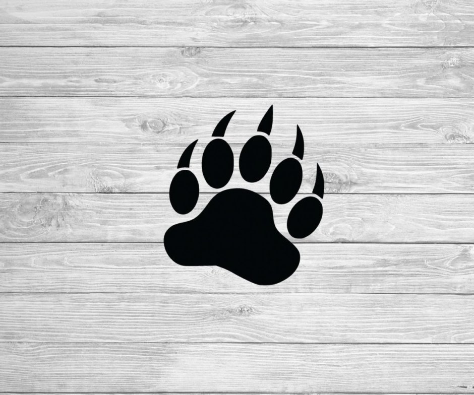 Лапы медведя