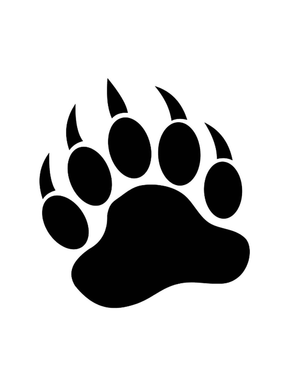 След медвежьей лапы