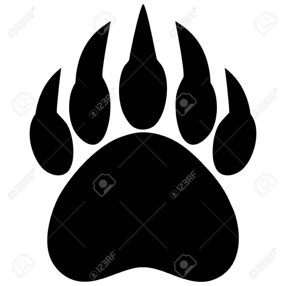 Лапа медведя трафарет