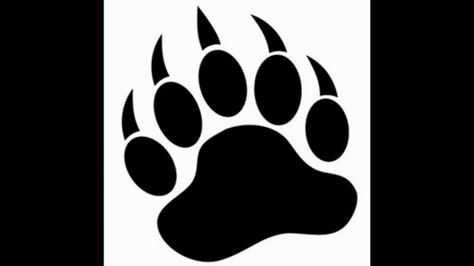 Отпечаток лапы белого медведя