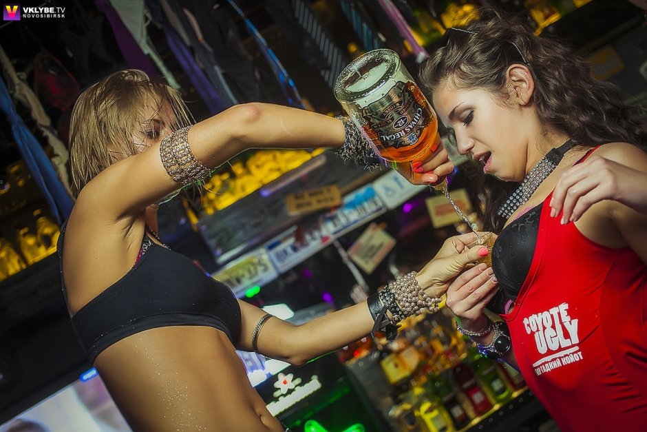 Койот рисунок карандашом vjjhlf