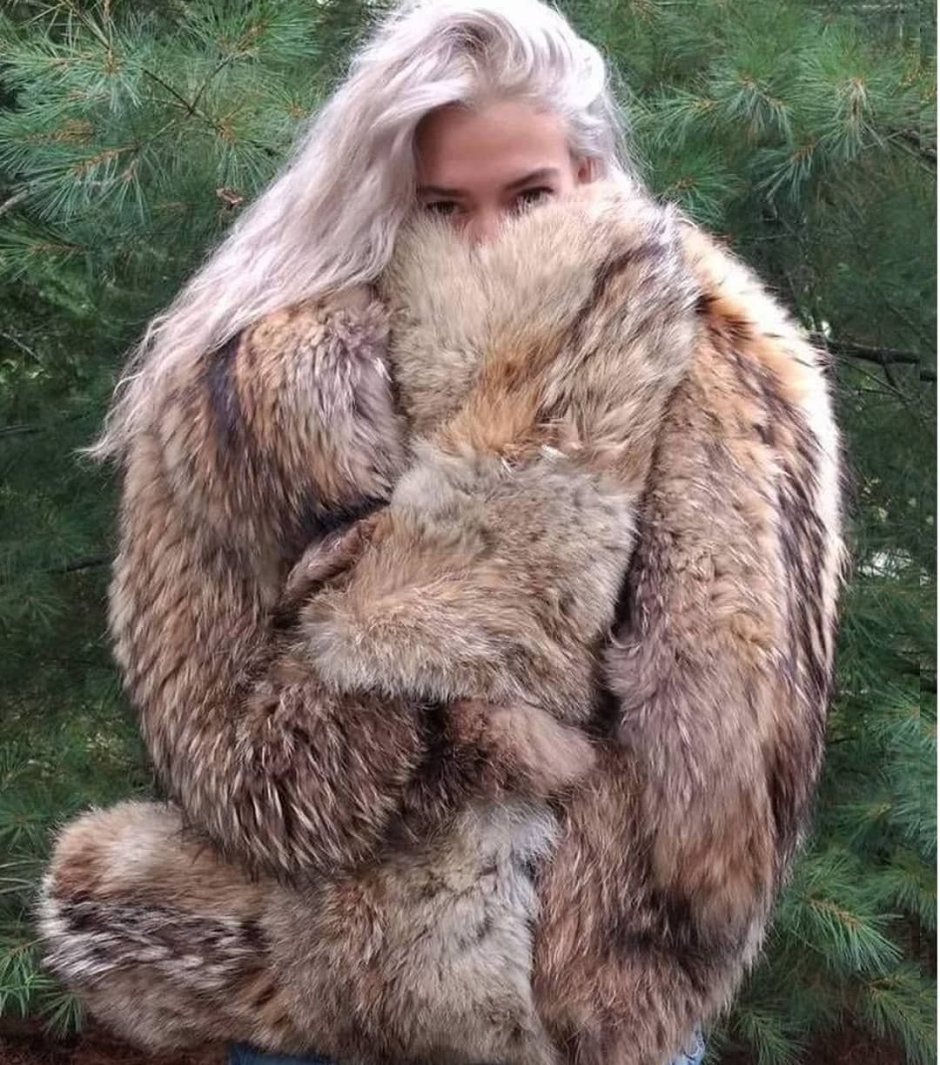 Койот Warner brothers