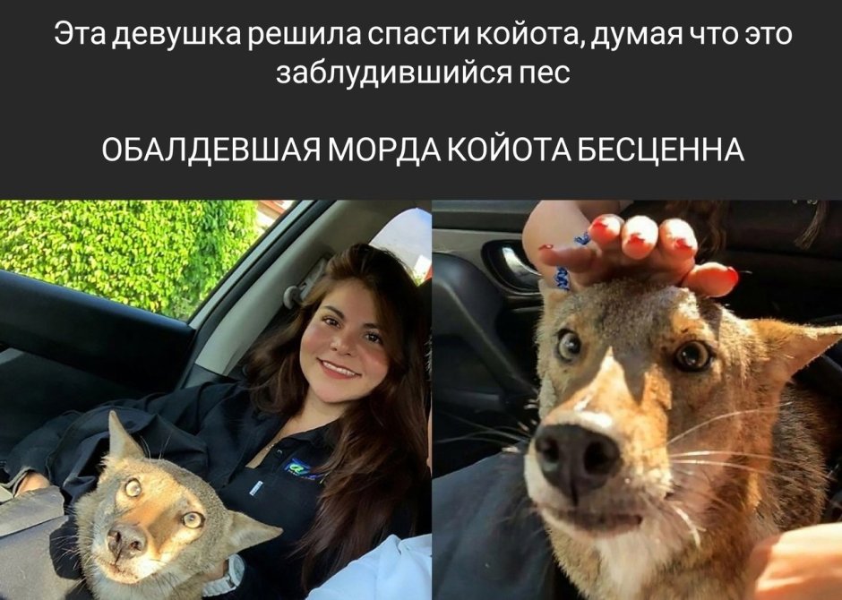 Убийство девушек в фильмах