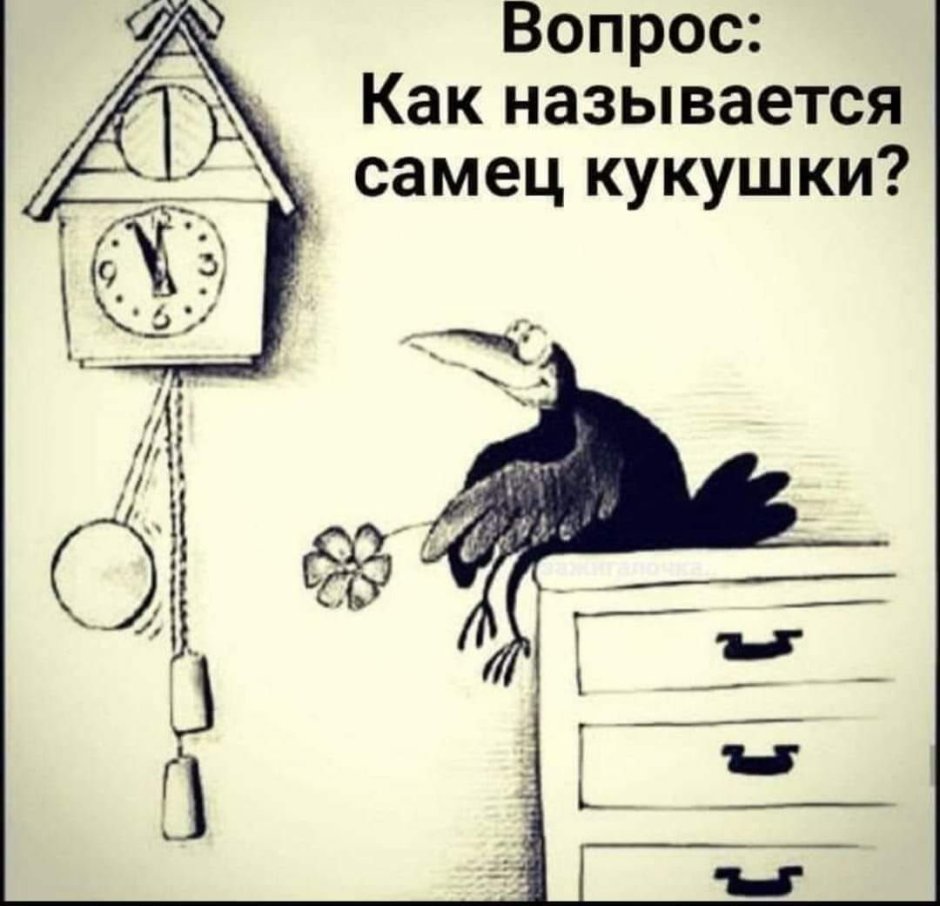 Как называют самца кукушки