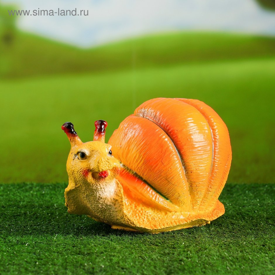 Улитка ампулярия