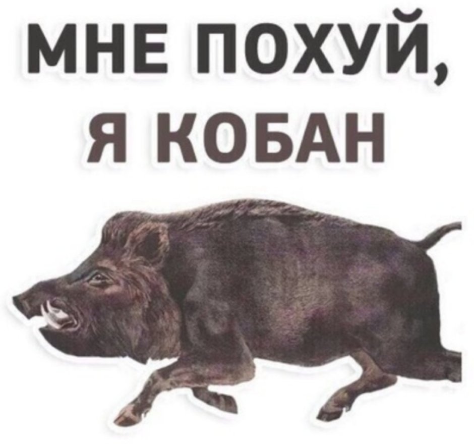 Кабан Геншин