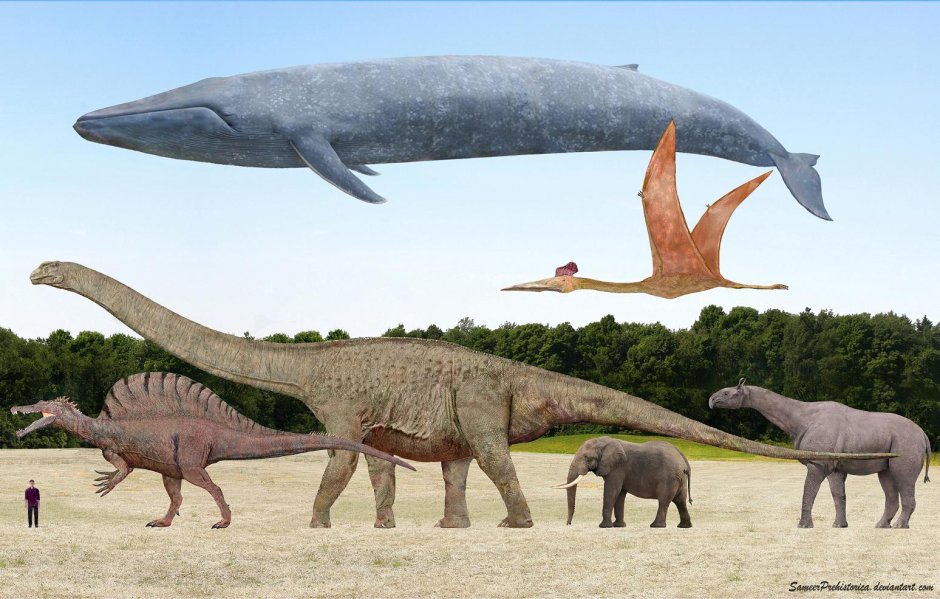 Кит зауропод Argentinosaurus