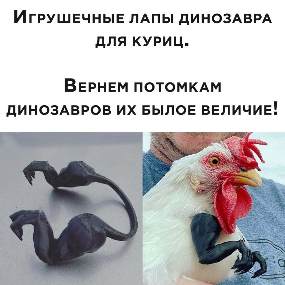 Бентамка курчавая