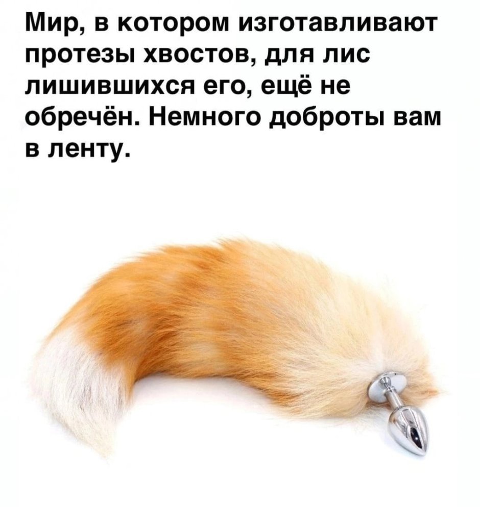 Внешний вид курицы