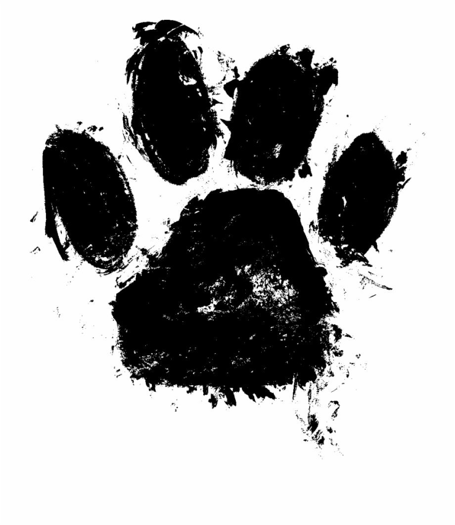 Лапки панды