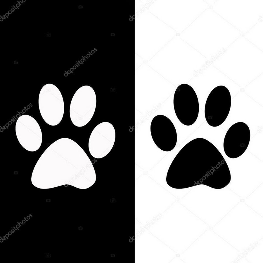 Панда упала