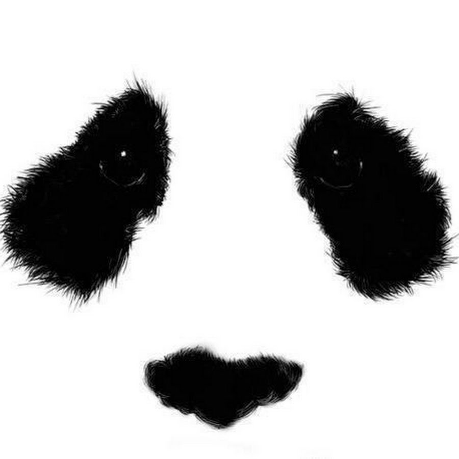 Следы кошачьих лап белые на черном фоне