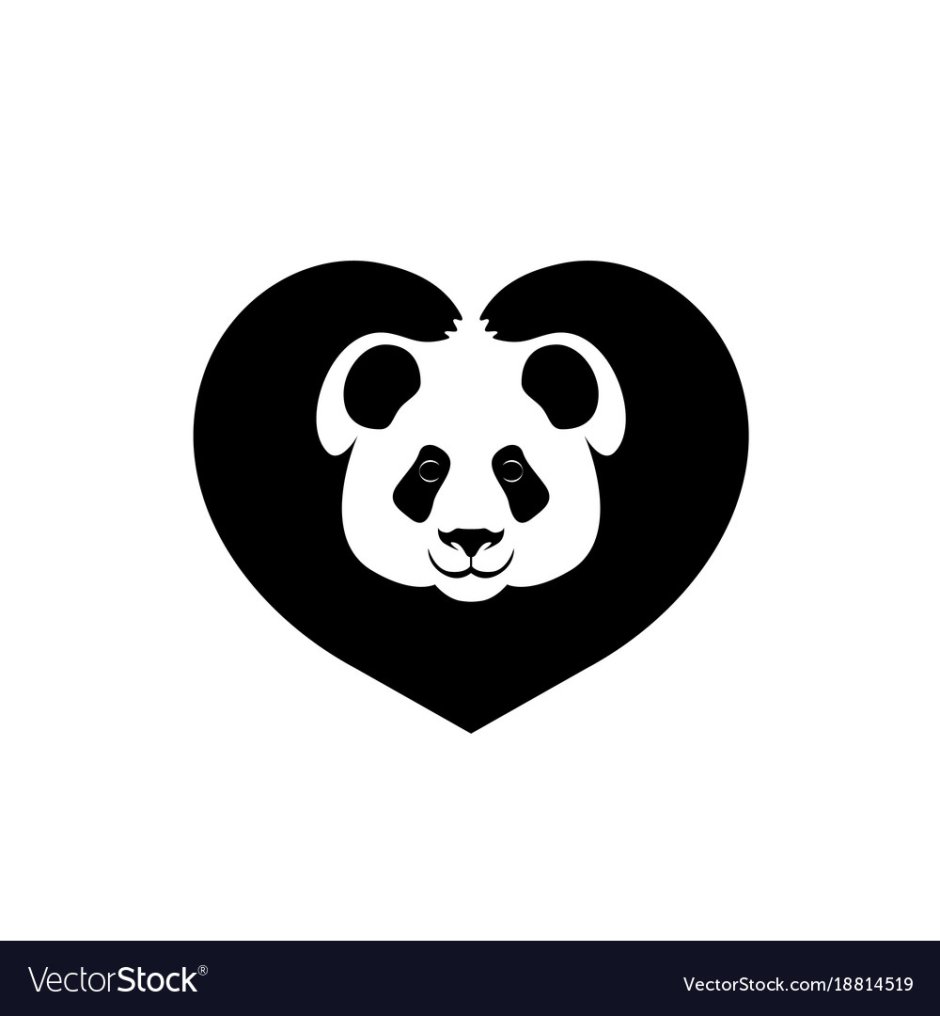 Милые лапки собак