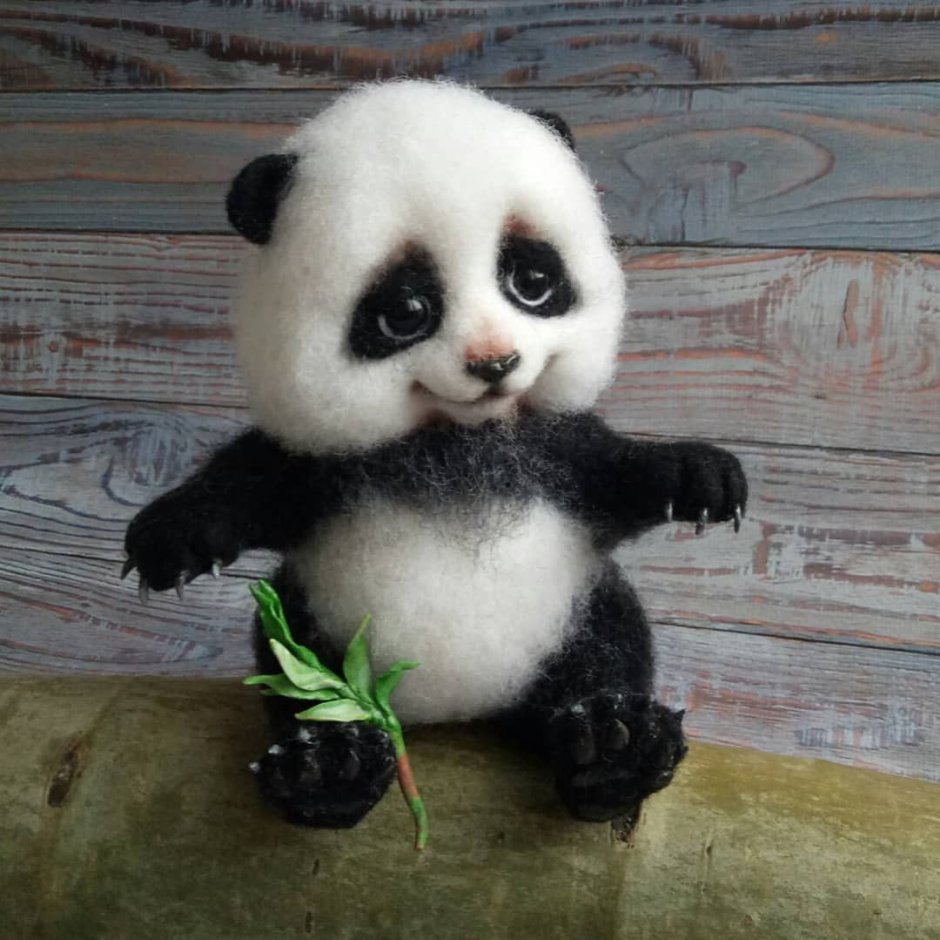 Лапы животных