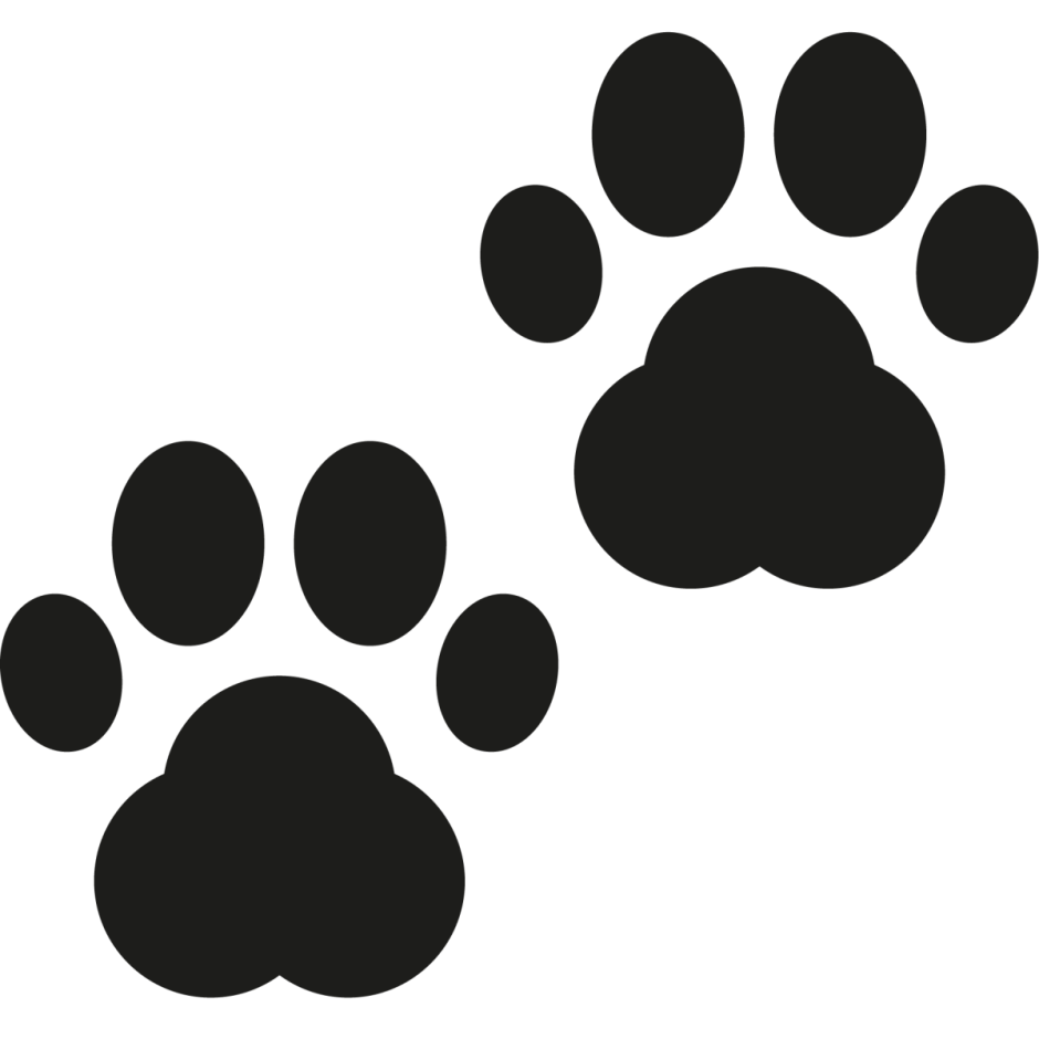 Лапа большой панды