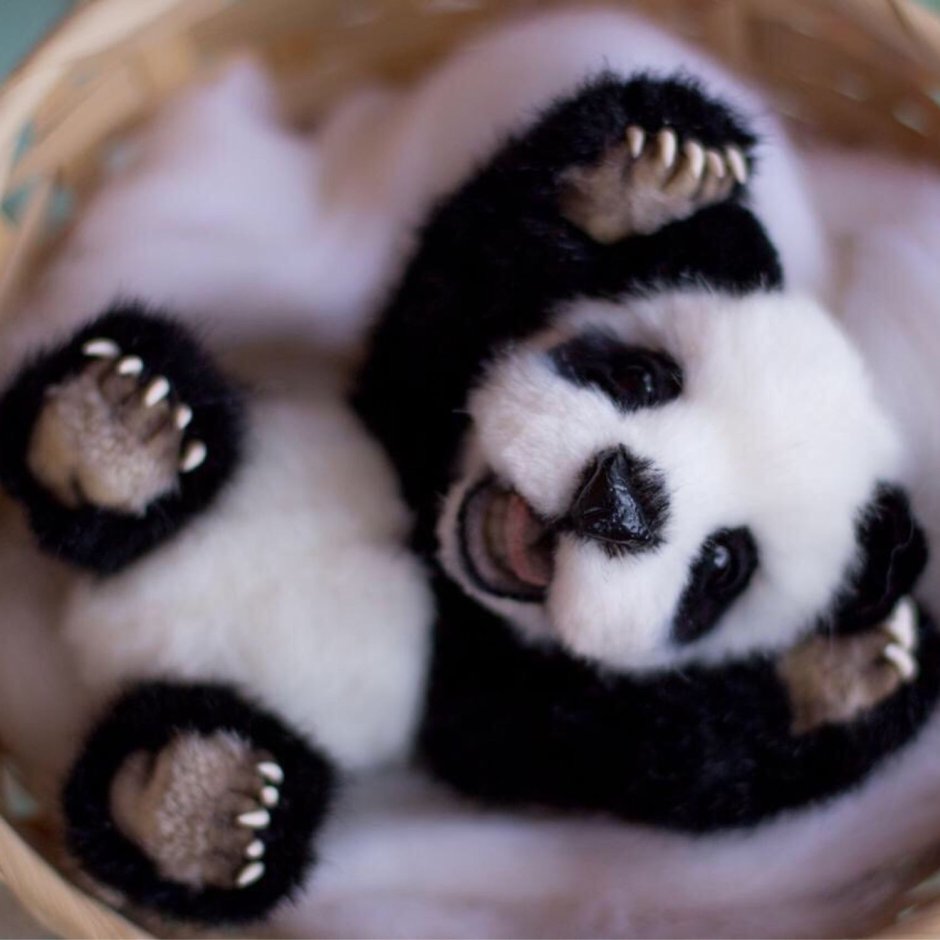 Щенячий патруль следы лап