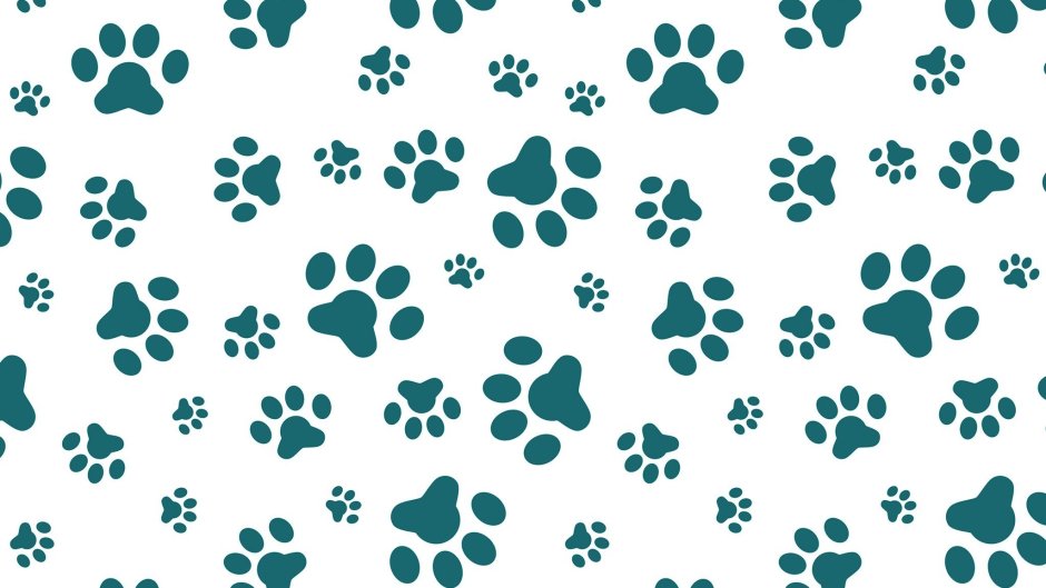 Панда джиу джитсу