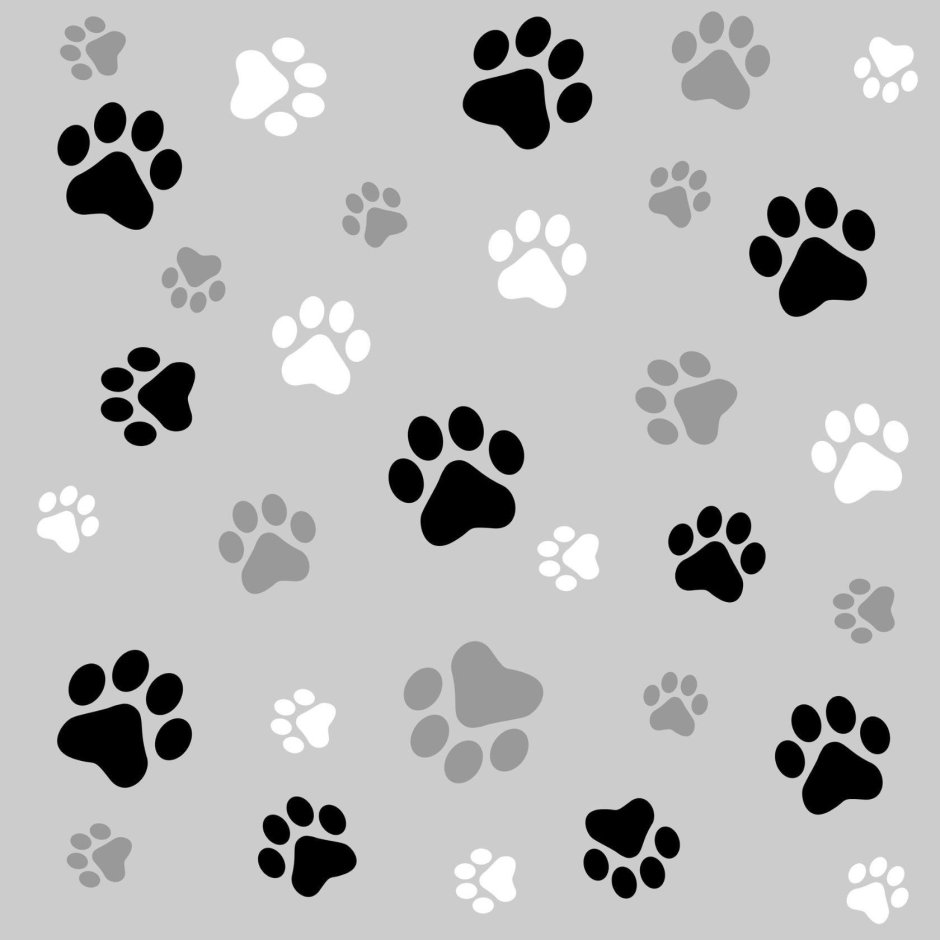 Лапа малой панды