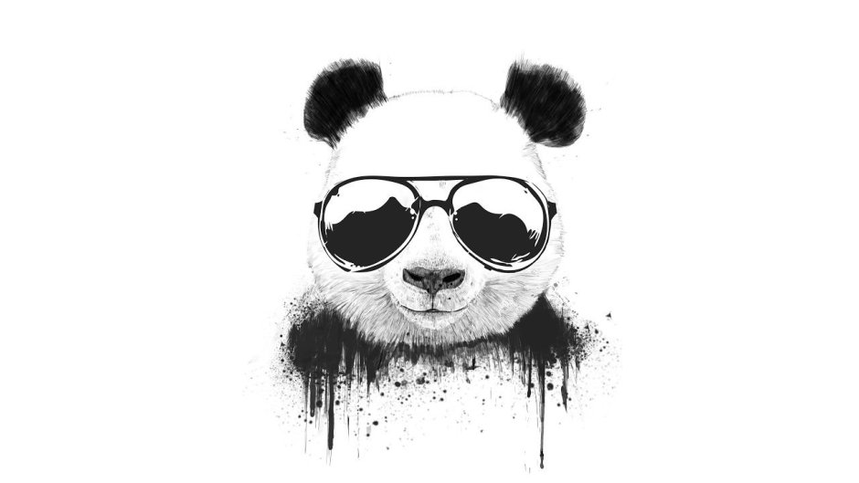 Татуировка собачья лапка