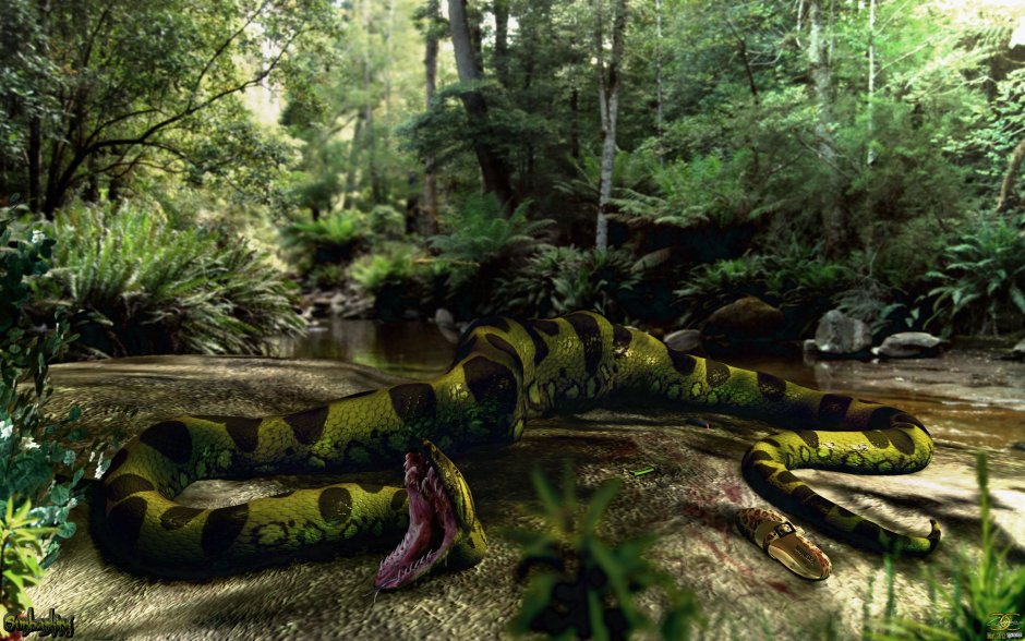 Анаконда в джунглях