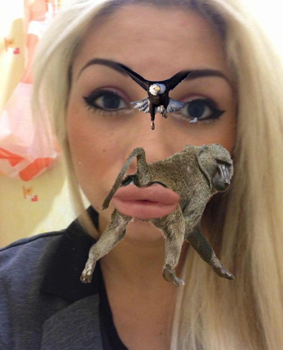 Лысый уакари