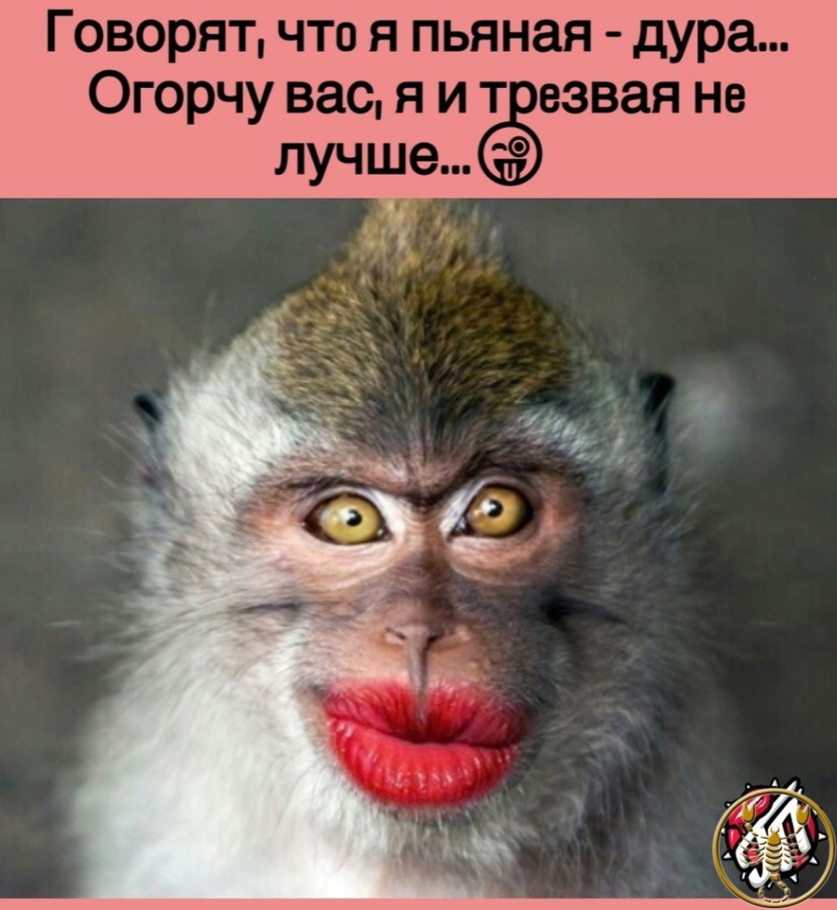 29 Лет прикол