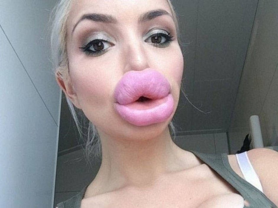 Животные с большим носом