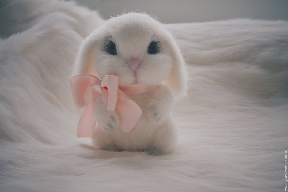 Маленький зайчик