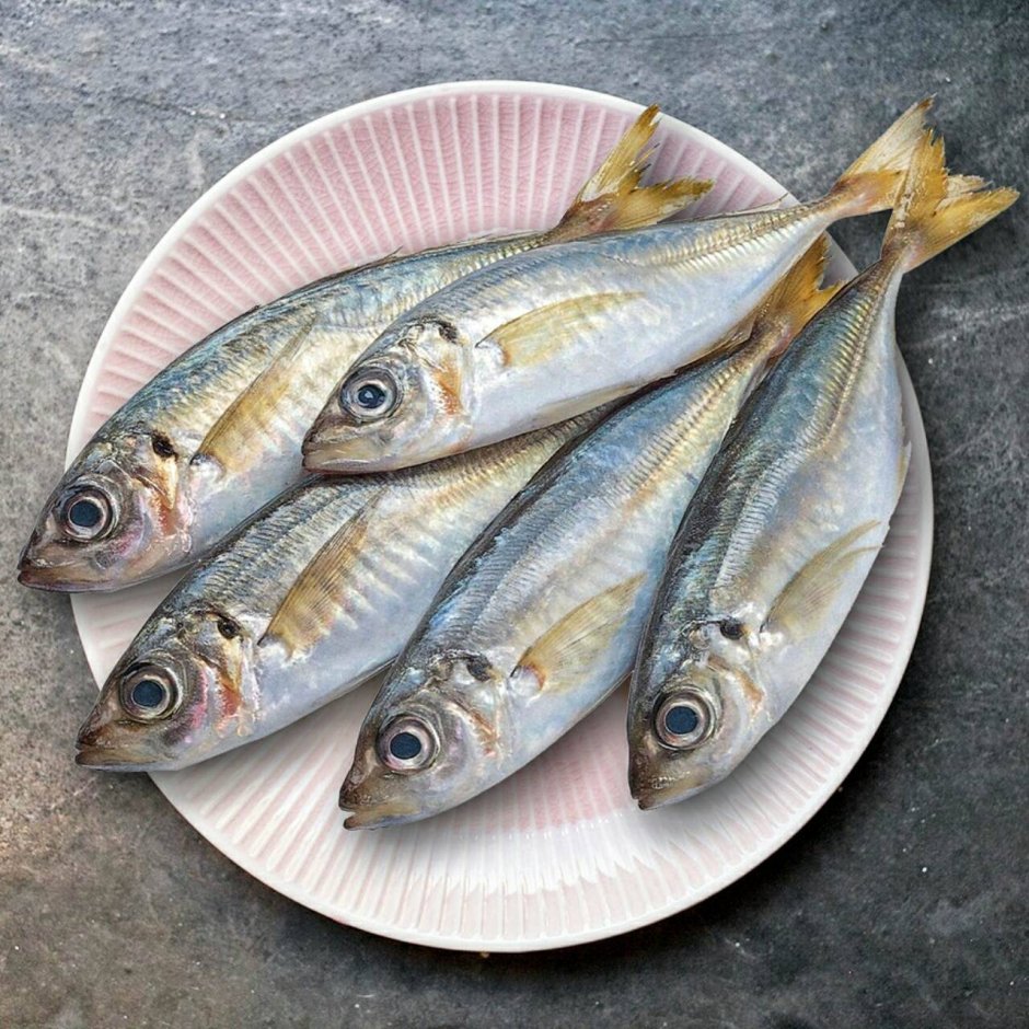 Серебристая морская рыба