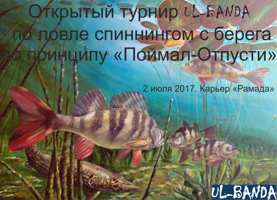 Рыбы в реке живопись