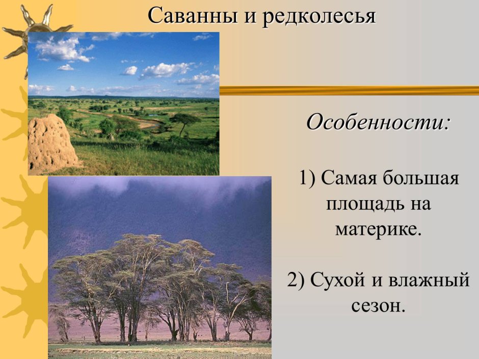 Природная зона саванны и редколесья